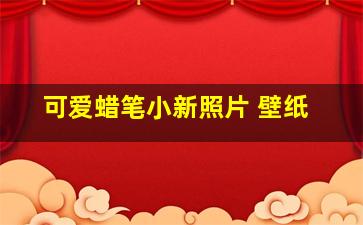 可爱蜡笔小新照片 壁纸